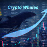 Crypto Whales Fuel Pepe