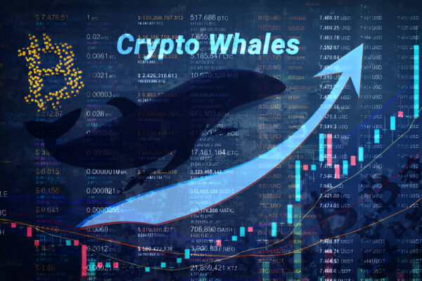 Crypto Whales Fuel Pepe