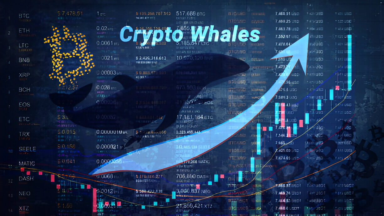 Crypto Whales Fuel Pepe